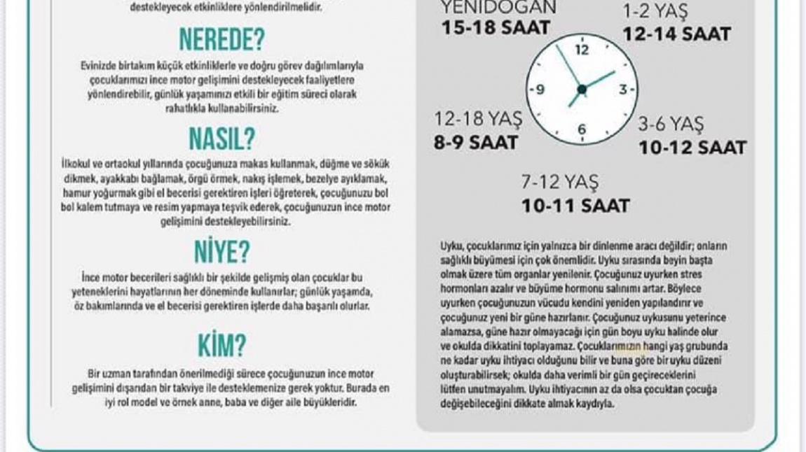 Ziya Ogretmen Diyor Ki